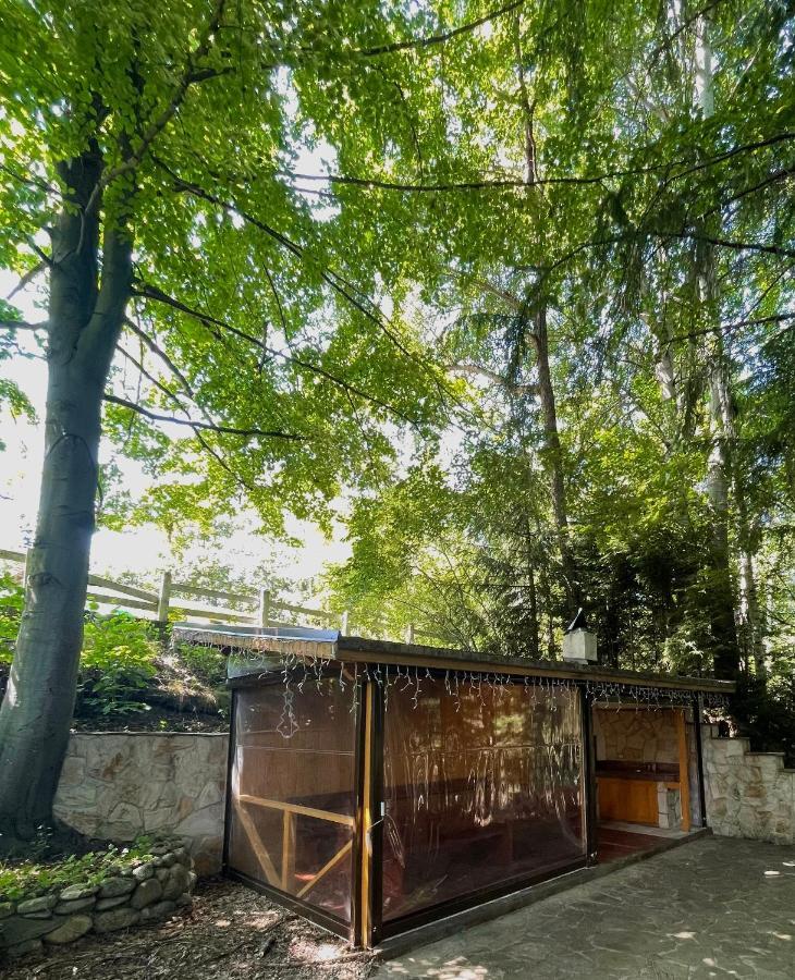 Villa Alexa Боровец Экстерьер фото